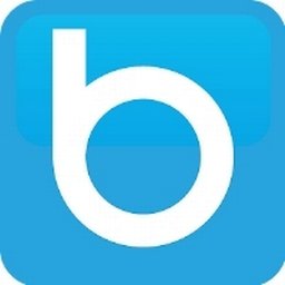 BlueConic